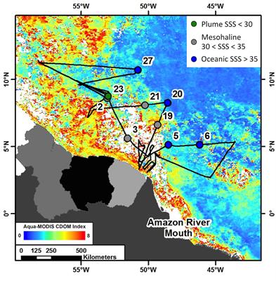 Mesozooplankton Graze on Cyanobacteria in the Amazon River Plume and Western Tropical North Atlantic